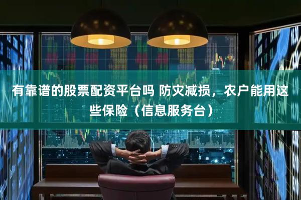 有靠谱的股票配资平台吗 防灾减损，农户能用这些保险（信息服务台）