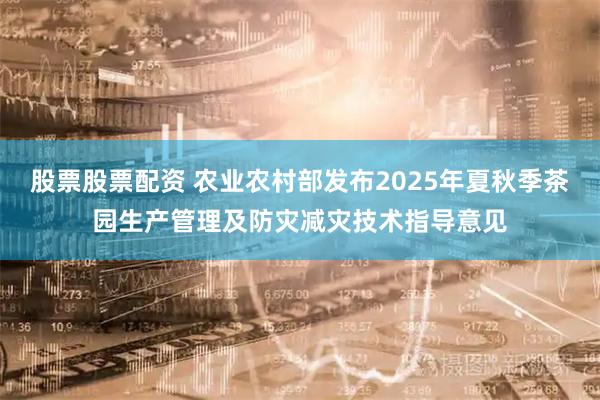股票股票配资 农业农村部发布2025年夏秋季茶园生产管理及防灾减灾技术指导意见